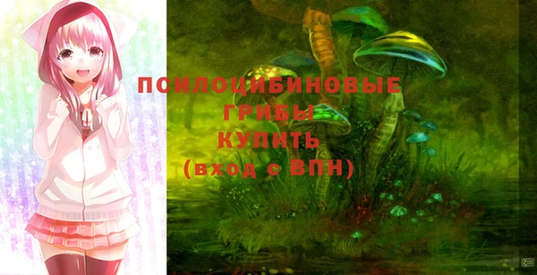 твердый Алзамай