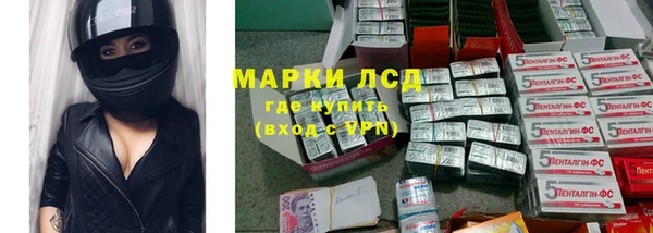твердый Алзамай