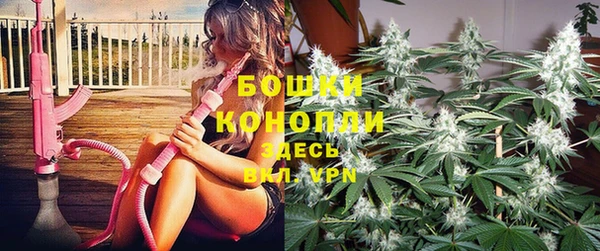 твердый Алзамай