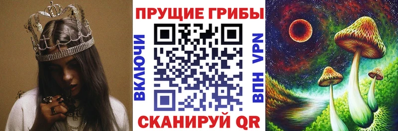 Галлюциногенные грибы MAGIC MUSHROOMS  это формула  Вышний Волочёк 